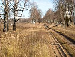Vjazma_178.JPG
