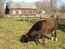 Vjazma_191.JPG