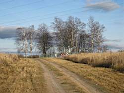 Vjazma_272.jpg