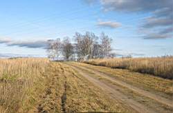 Vjazma_273.jpg