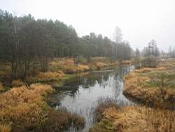 Vjazma_359.jpg
