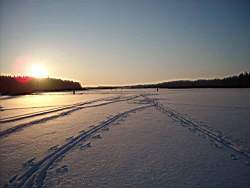 TN_ruza_068.JPG