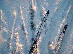 TN_ruza_076.JPG