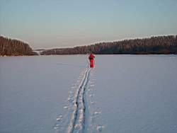 TN_ruza_078.JPG