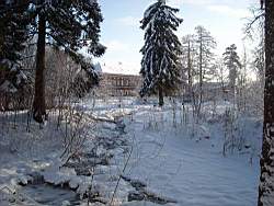 ruza_083.JPG