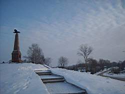 ruza_106.JPG