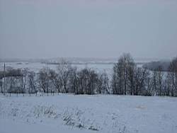 ruza_110.JPG