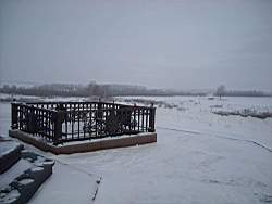 ruza_122.JPG