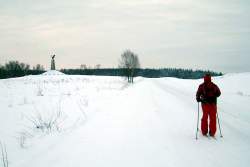 ruza_124.JPG