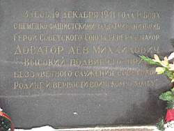 ruza_203.JPG