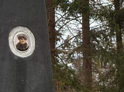 ruza_207.JPG