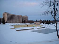 ruza_211.JPG