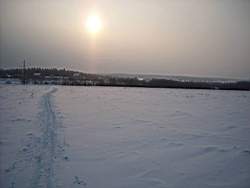 ruza_228.JPG