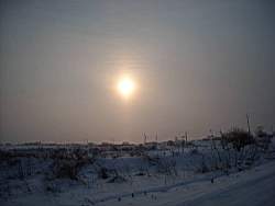 ruza_232.JPG
