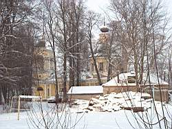 ruza_244.JPG