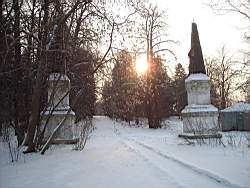 ruza_247.JPG