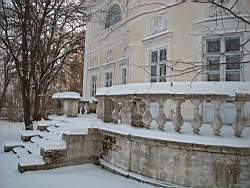 ruza_263.JPG