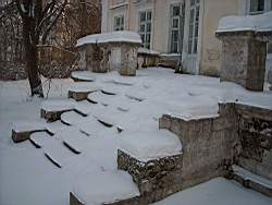 ruza_264.JPG