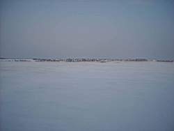 ruza_266.JPG