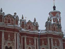 ruza_281.JPG