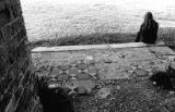 S0008.JPG