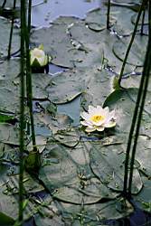 pushgory_38.JPG